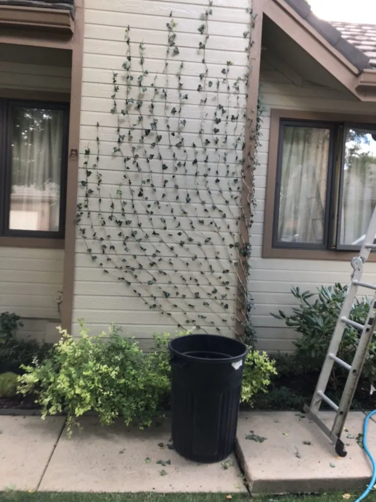 Top-rated yard maintenance experts serving Denver, CO - CS Landscape & Design