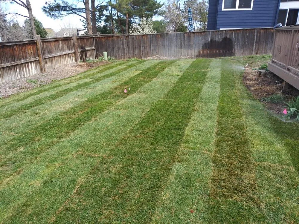 Reliable garden landscaping in Denver, CO - CS Landscape & Design