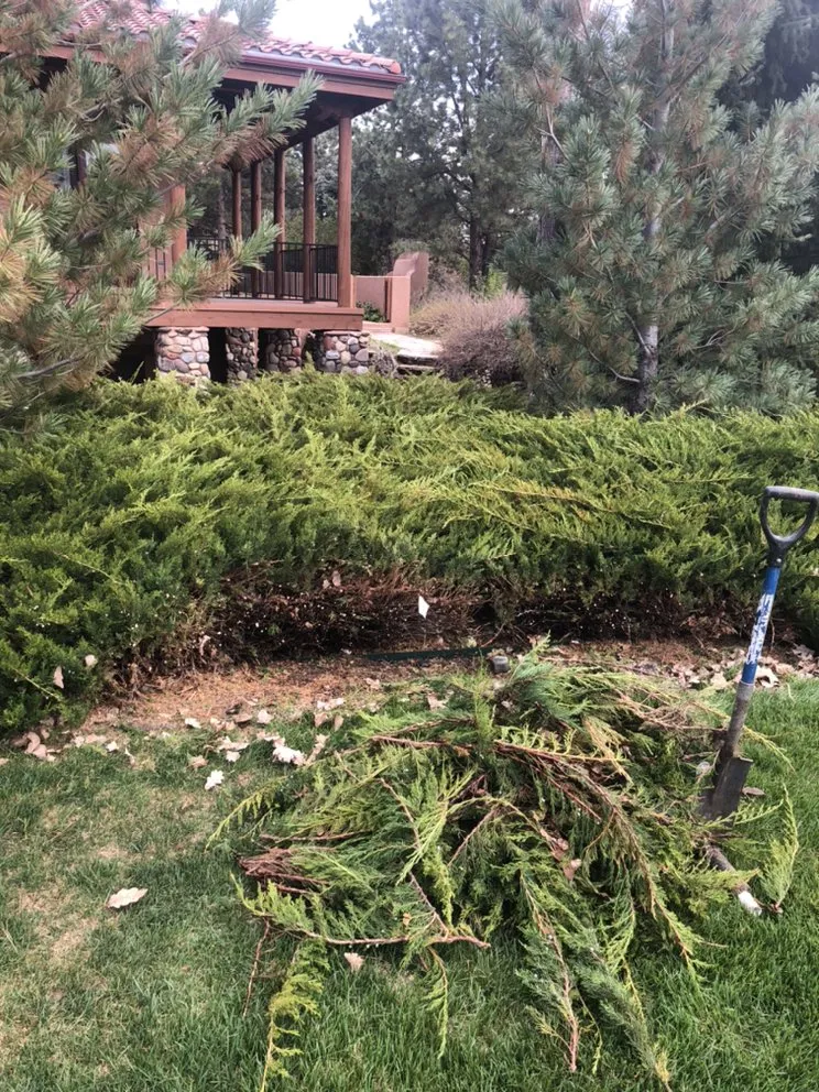 Local garden landscaping experts serving Denver, CO - CS Landscape & Design