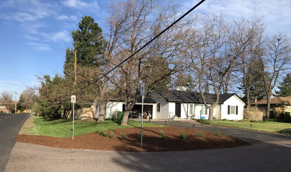 Affordable yard cleanup service experts serving Denver, CO - CS Landscape & Design