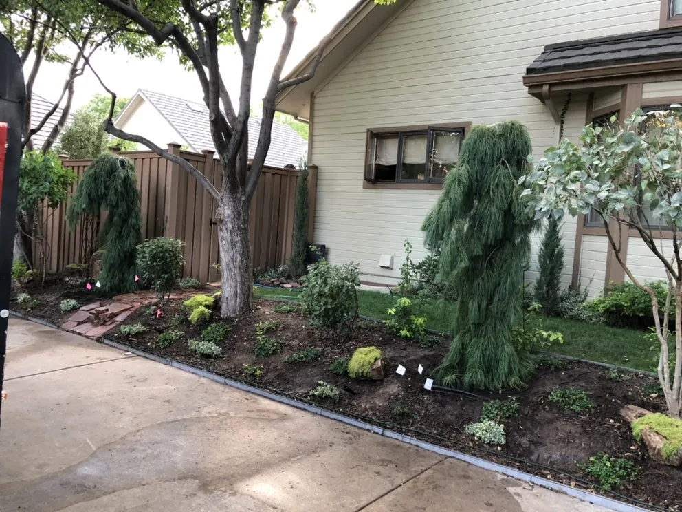 Local yard maintenance experts serving Denver, CO - CS Landscape & Design