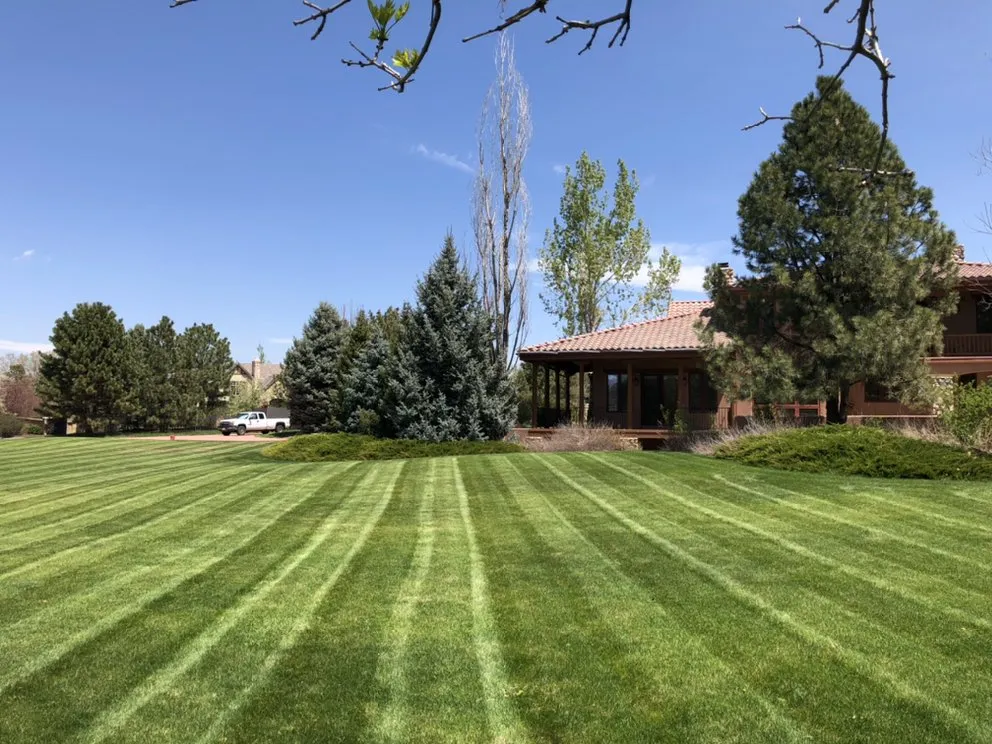 Affordable landscape design for residential properties in Denver, CO by CS Landscape & Design
