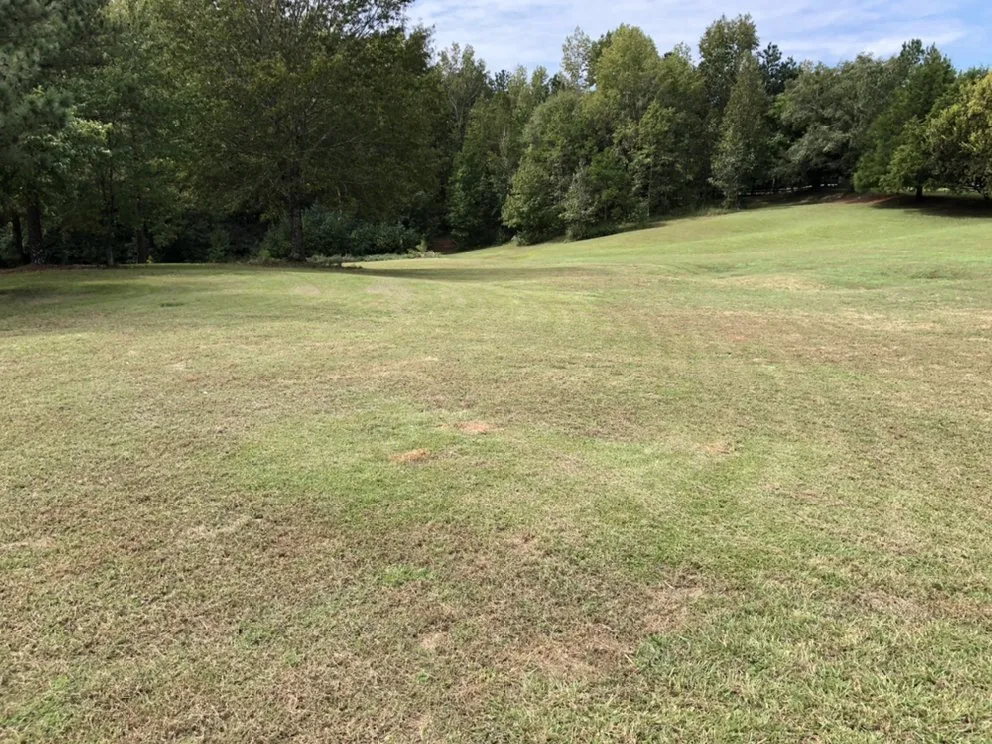 Professional landscape installation for beautiful yards across Columbus, GA - C&S Landscape & Property Maintenance