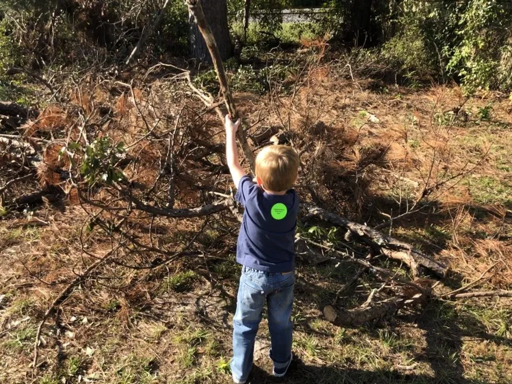 Top-rated landscaping services near you across Columbus, GA - C&S Landscape & Property Maintenance