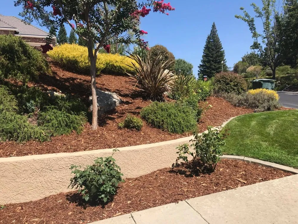 Top-rated landscape installation experts serving Sacramento, CA - C&S Landscape Services