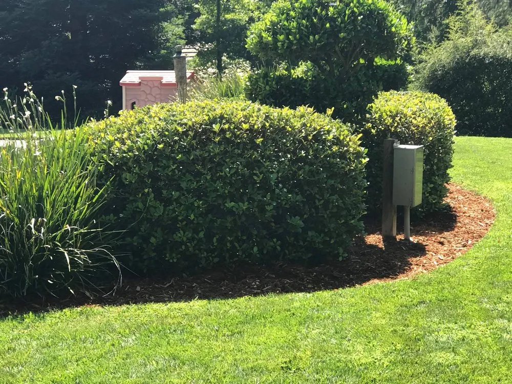 Custom outdoor landscaping in Sacramento, CA by C&S Landscape Services