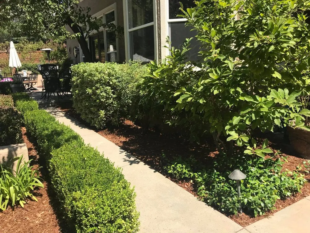 Reliable lawn care service for outdoor upgrades in Sacramento, CA by C&S Landscape Services
