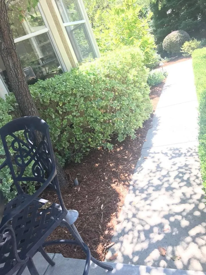 Affordable yard cleanup service for residential properties across Sacramento, CA - C&S Landscape Services