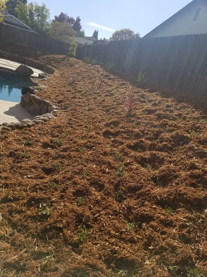 Top-rated landscape design in Sacramento, CA by C&S Landscape Services