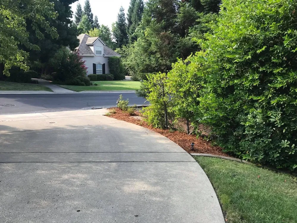 Affordable landscape design for outdoor upgrades across Sacramento, CA - C&S Landscape Services