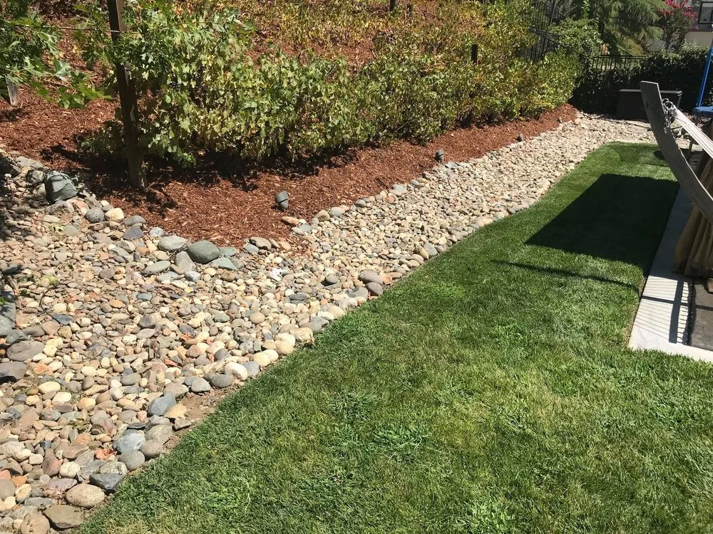 Expert yard maintenance experts serving Sacramento, CA - C&S Landscape Services