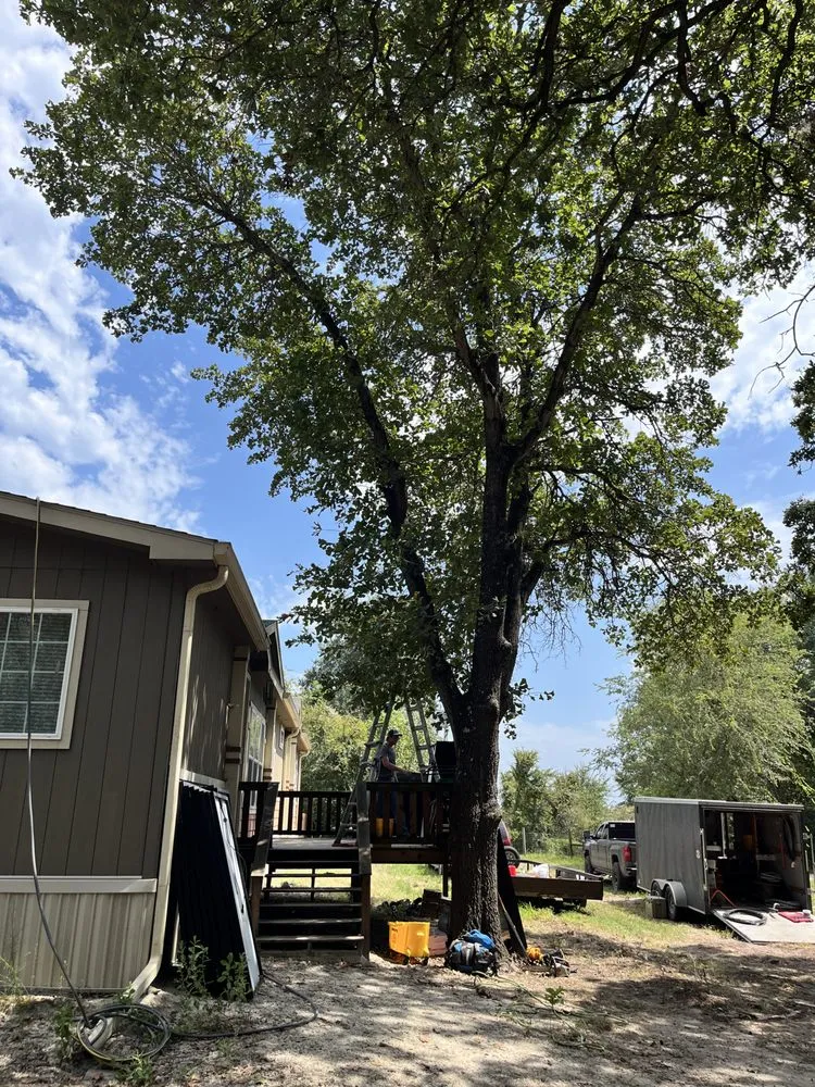 Local lawn care service experts serving West, TX - C&S Landscape Service’s