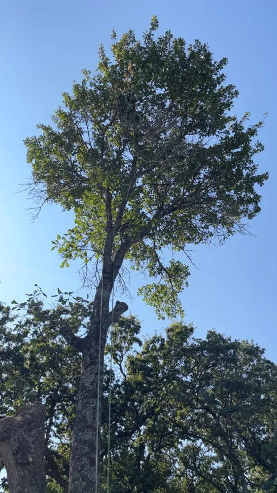 Trusted residential landscaping for outdoor upgrades across West, TX - C&S Landscape Service’s