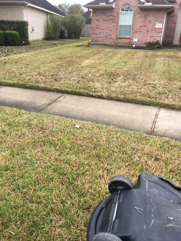 Local yard cleanup service for year-round maintenance in Houston, TX by CS Landscaping & Construction