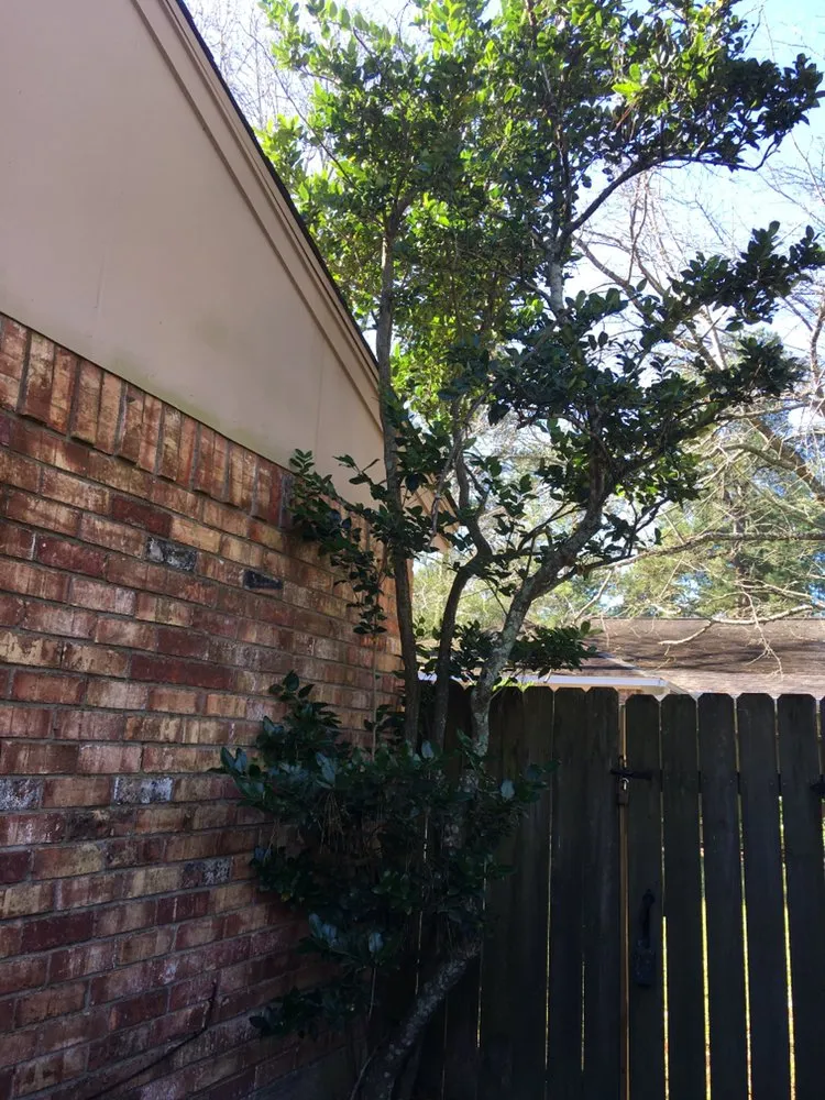 Reliable outdoor landscaping in Houston, TX - CS Landscaping & Construction