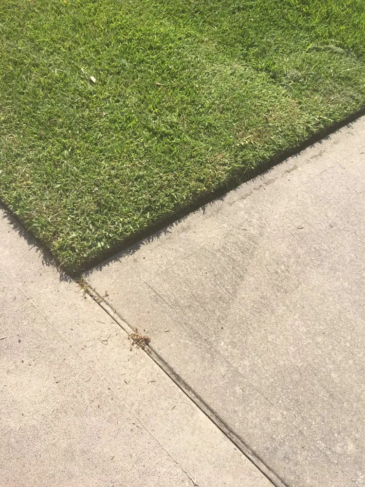 Custom lawn care service for beautiful yards in Houston, TX by CS Landscaping & Construction