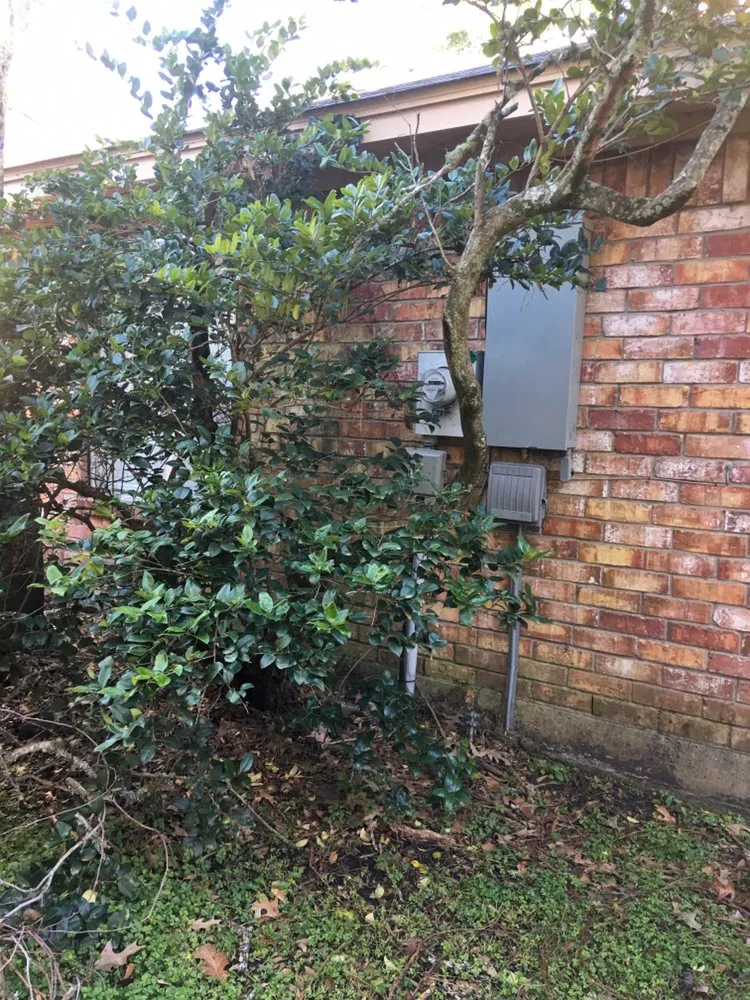 Affordable lawn care service experts serving Houston, TX - CS Landscaping & Construction