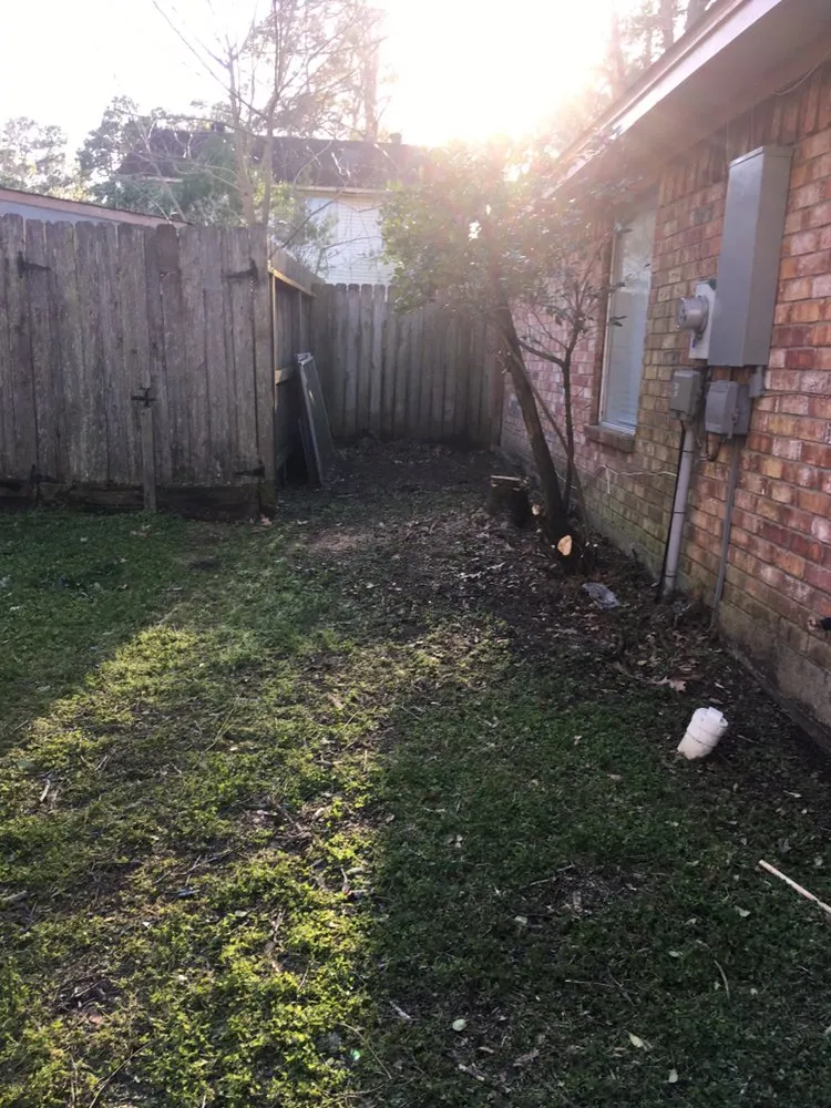 Expert landscape design for homes in Houston, TX by CS Landscaping & Construction