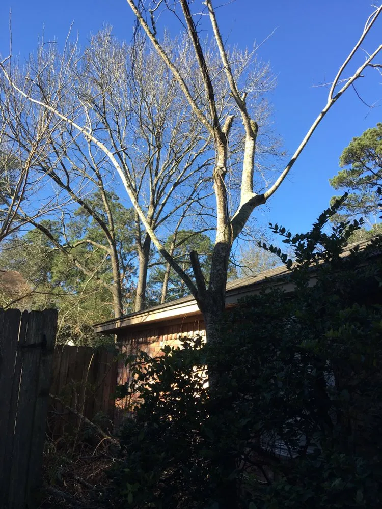 Local garden landscaping with custom design in Houston, TX by CS Landscaping & Construction