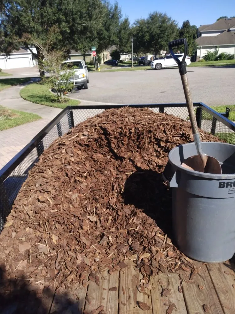 Affordable lawn mowing service for outdoor upgrades across DeBary, FL - CS Landscaping and lawn maintenance