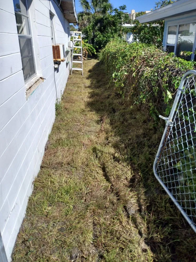 Affordable landscaping services in DeBary, FL - CS Landscaping and lawn maintenance