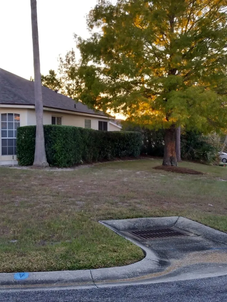 Affordable garden landscaping experts serving DeBary, FL - CS Landscaping and lawn maintenance