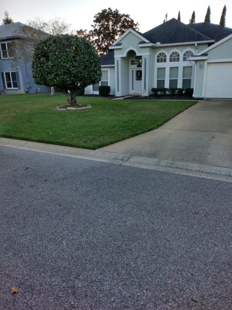 Expert yard maintenance in DeBary, FL by CS Landscaping and lawn maintenance