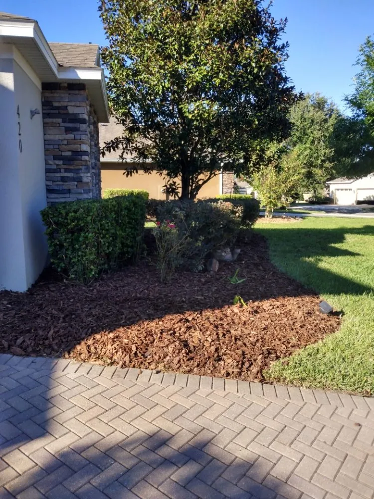 Trusted landscaping services with custom design in DeBary, FL by CS Landscaping and lawn maintenance