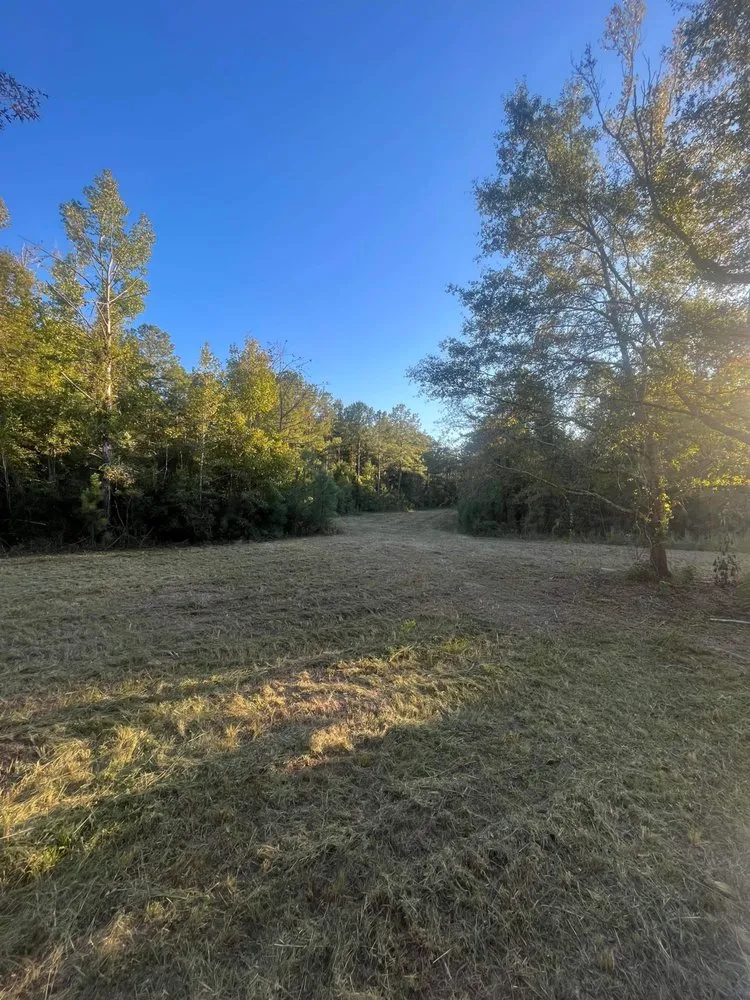 Expert lawn care service with custom design in Americus, GA by C&S Landscaping and Property Management