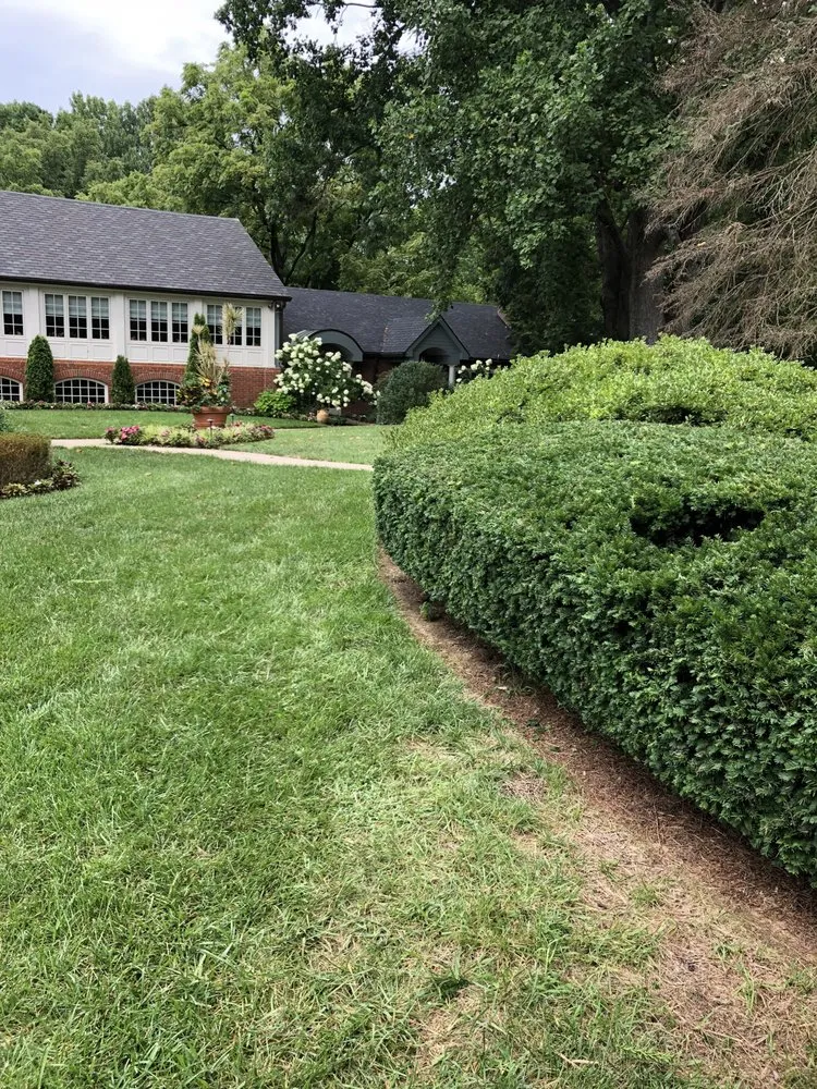 Professional yard maintenance for outdoor upgrades across Louisville, KY - CS Landscaping