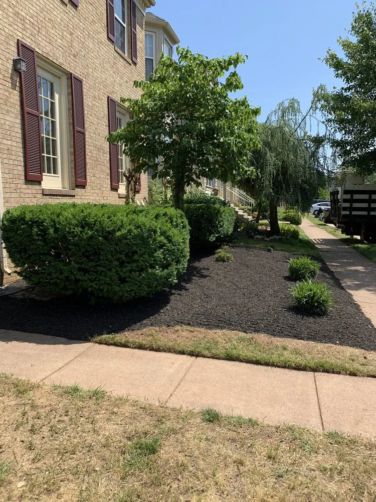 Custom yard maintenance in Sterling, VA - C&S landscaping