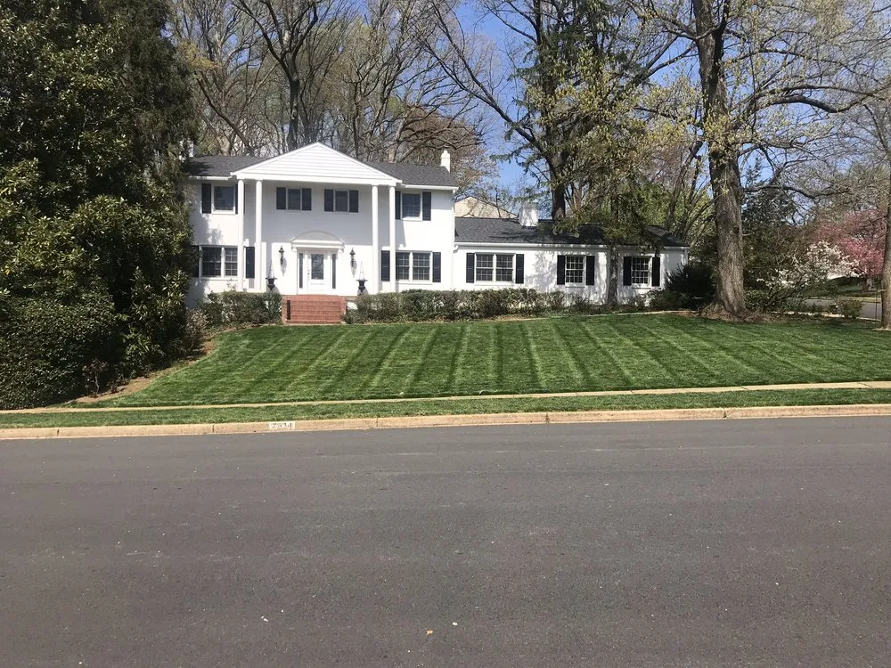 Top-rated yard cleanup service in Sterling, VA by C&S landscaping
