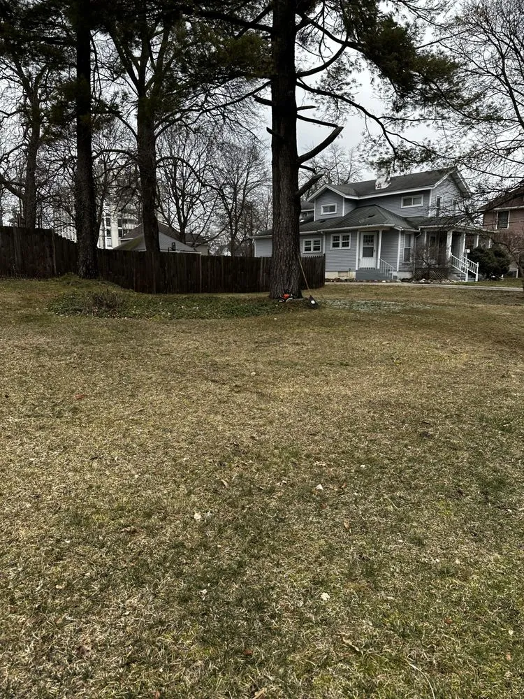 Affordable yard cleanup service experts serving Jackson, MI - C&S Lawn and Landscaping