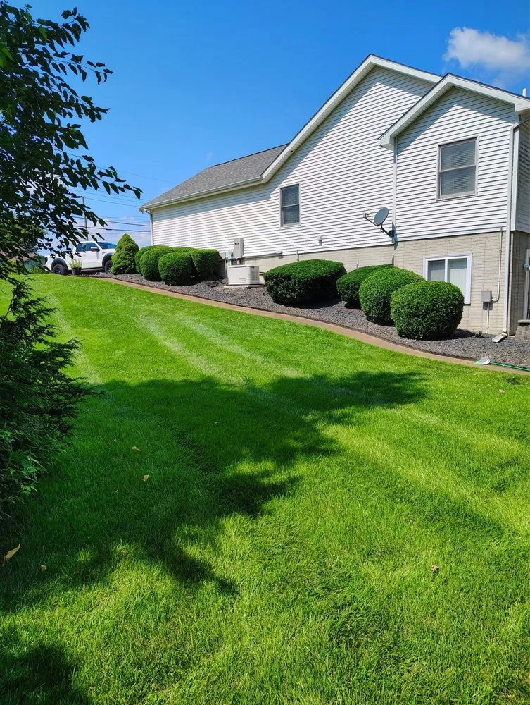 Affordable lawn mowing service experts serving Jackson, MI - C&S Lawn and Landscaping