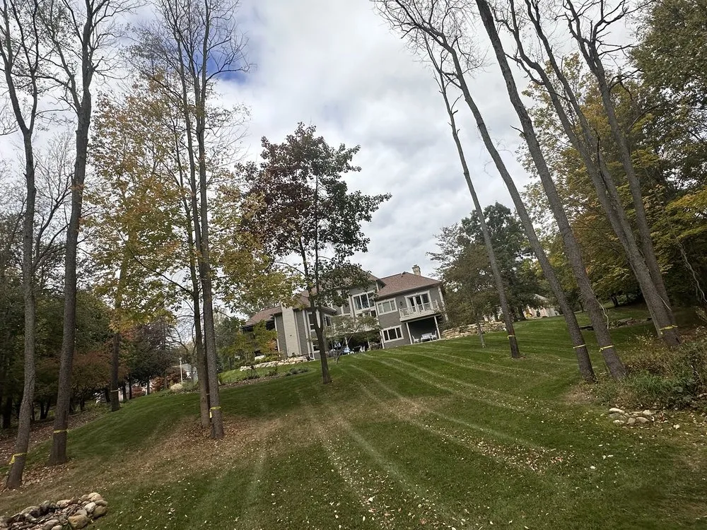 Top-rated landscape design in Jackson, MI by C&S Lawn and Landscaping