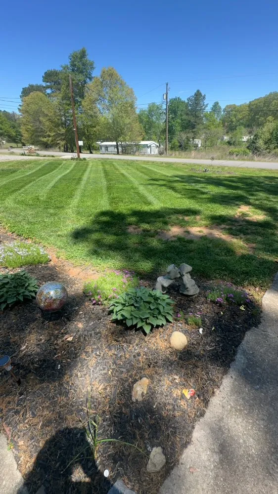 Reliable yard cleanup service experts serving Forest City, NC - C’s Lawn Care
