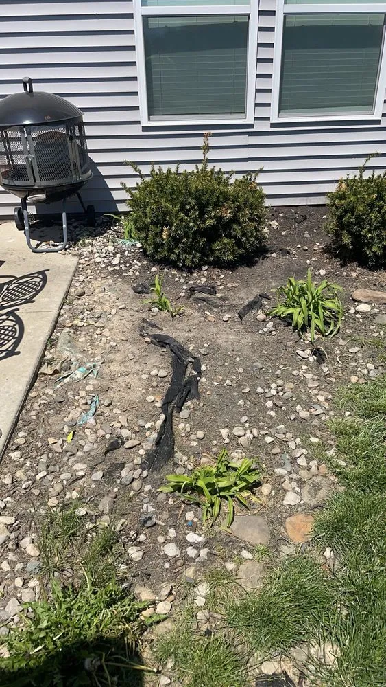 Trusted landscaping services near you in Greenfield, IN by C’s Lawn Care