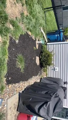 C’s Lawn Care Logo