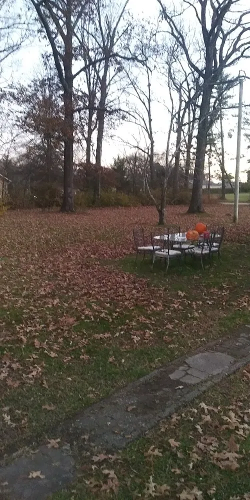 Top-rated yard cleanup service for beautiful yards in Rossville, GA by C&S Lawn Care