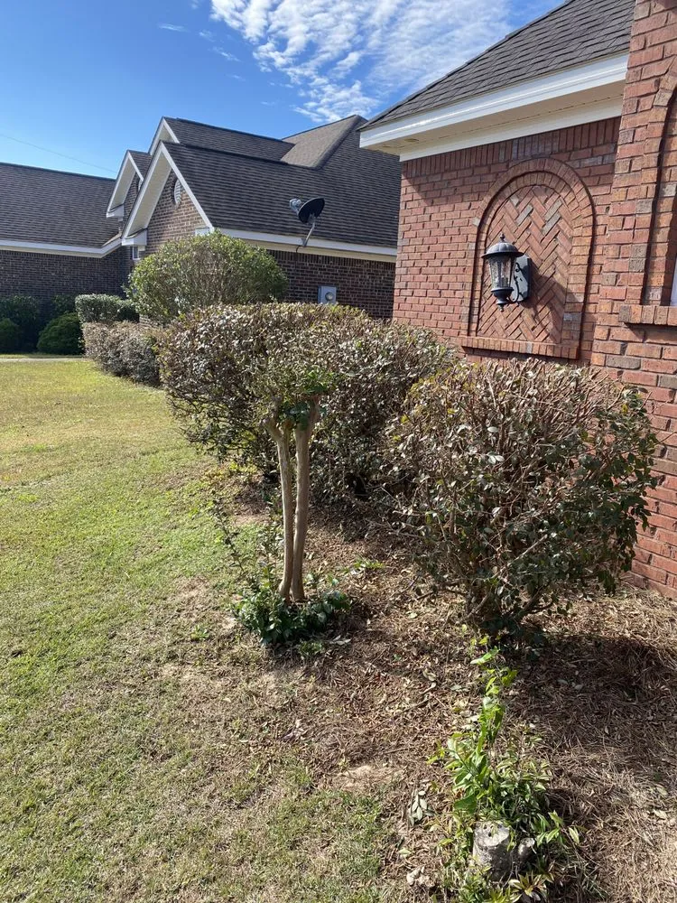 Affordable landscape design with custom design across Semmes, AL - C&S Lawn Care