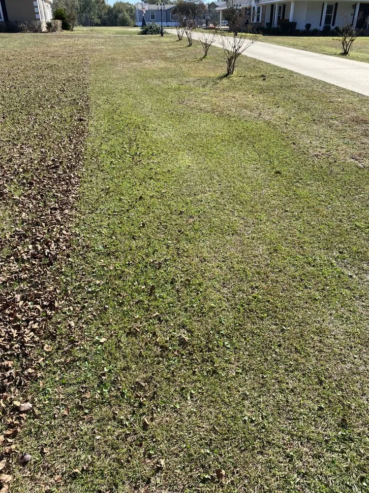 Trusted lawn care service in Semmes, AL by C&S Lawn Care