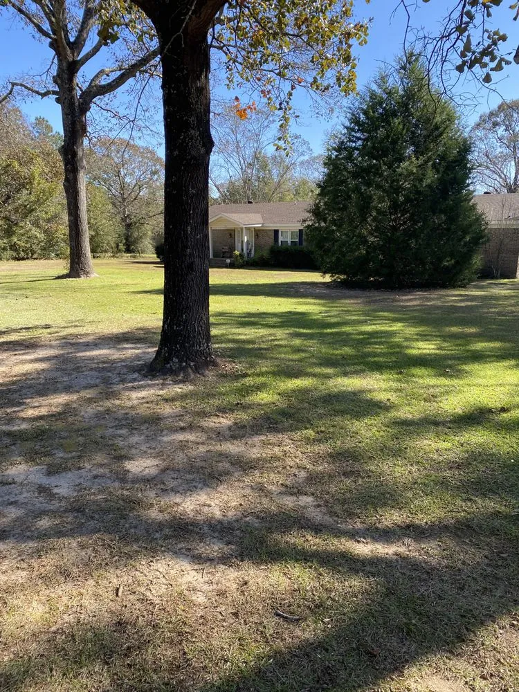 Top-rated yard maintenance in Semmes, AL - C&S Lawn Care