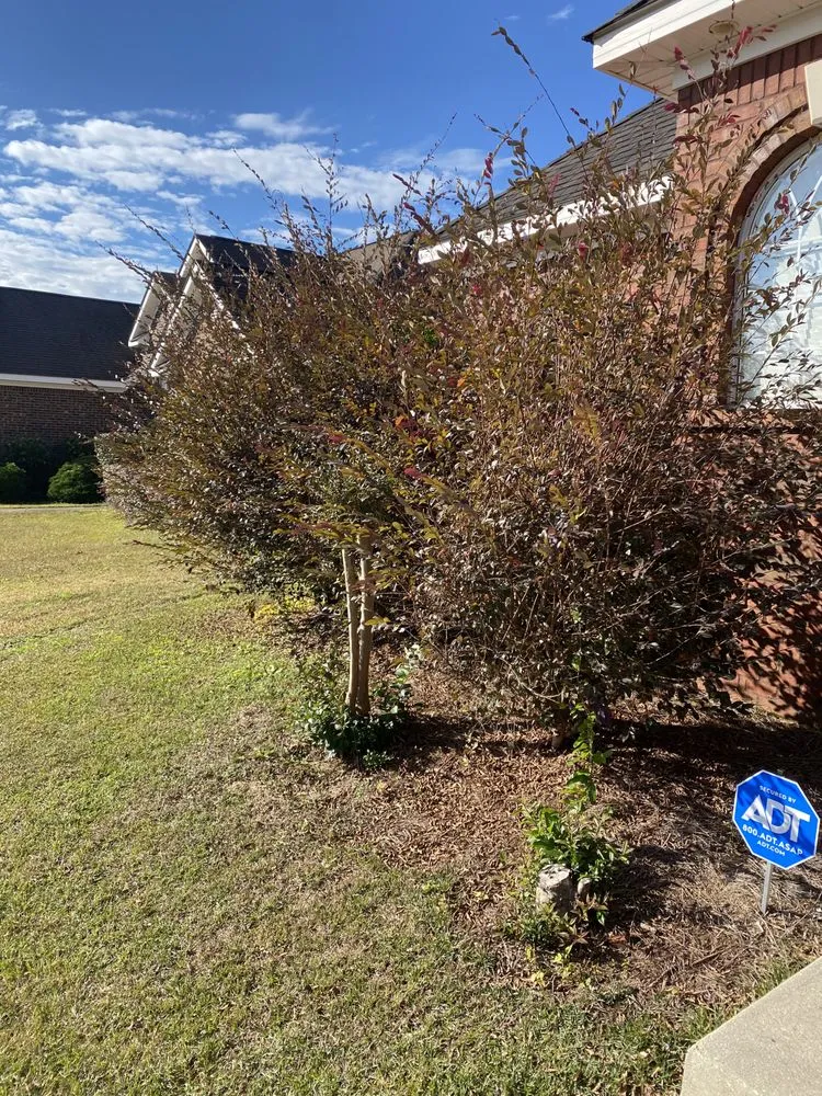 Reliable landscaping services for year-round maintenance in Semmes, AL by C&S Lawn Care