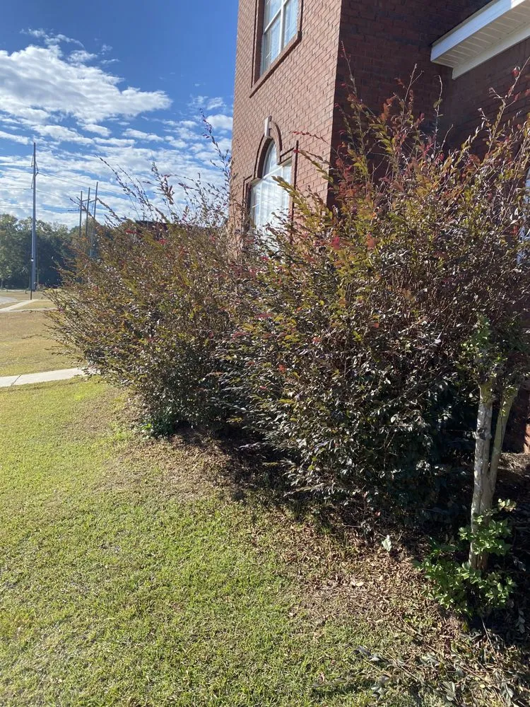 Top-rated lawn mowing service in Semmes, AL by C&S Lawn Care