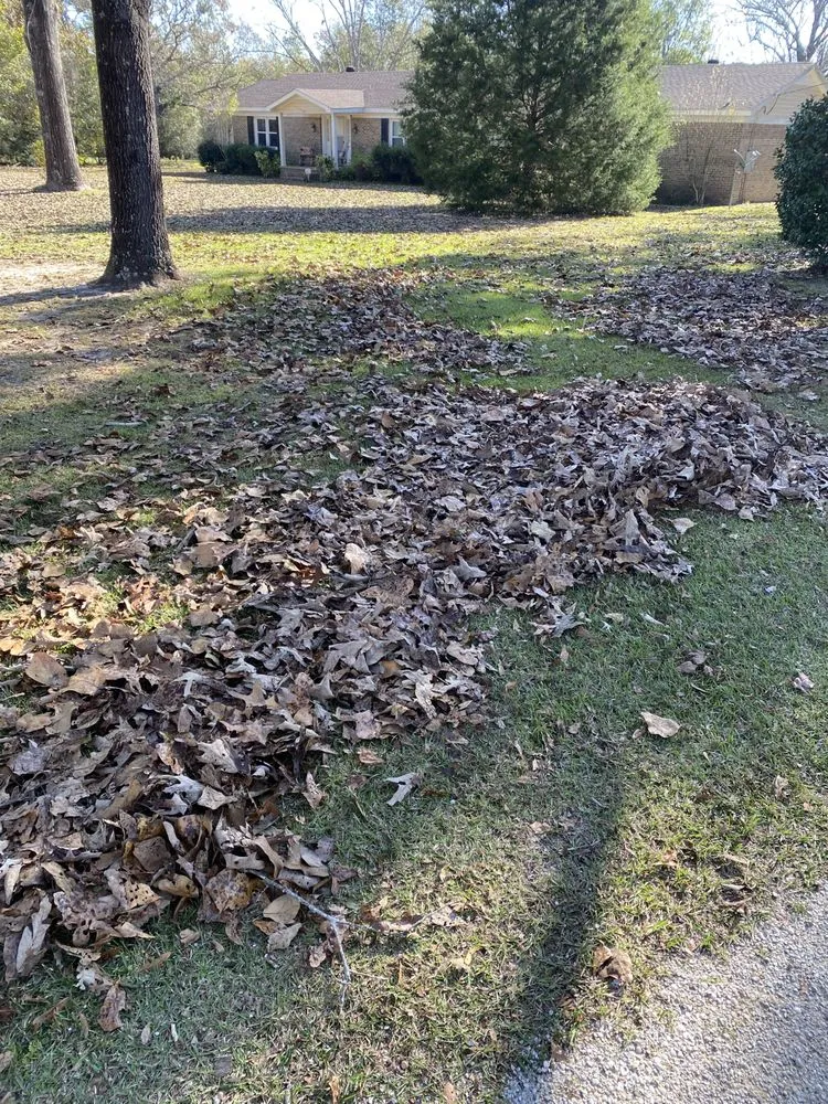 Expert lawn mowing service in Semmes, AL by C&S Lawn Care