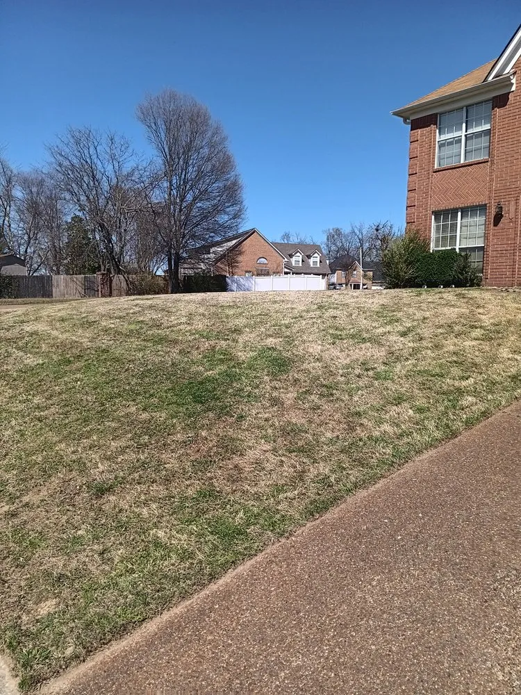 Custom garden landscaping in Memphis, TN - C&S Lawn Care Services