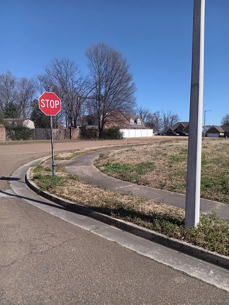 Expert yard maintenance for outdoor upgrades across Memphis, TN - C&S Lawn Care Services