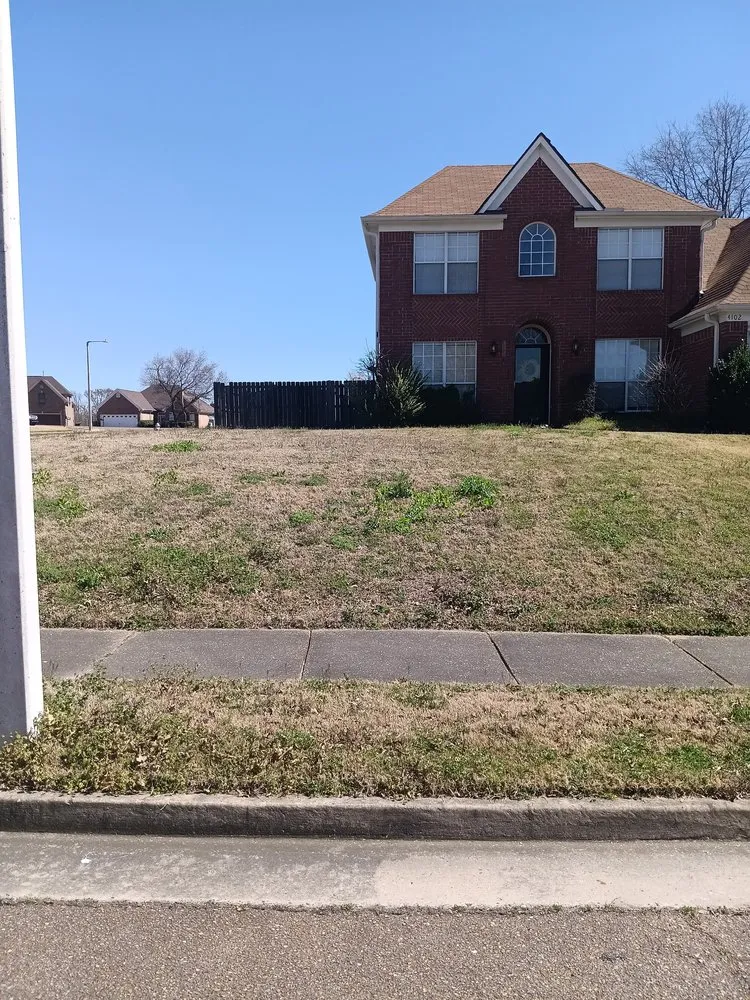 Professional outdoor landscaping experts serving Memphis, TN - C&S Lawn Care Services