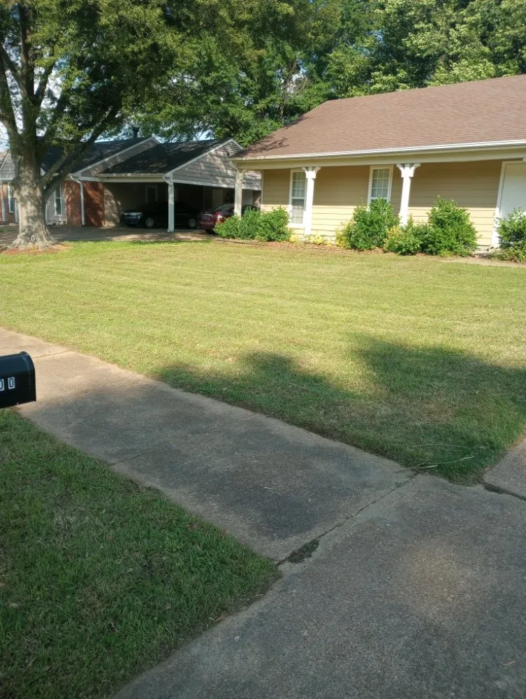 Trusted lawn mowing service in Memphis, TN - C&S Lawn Care Services