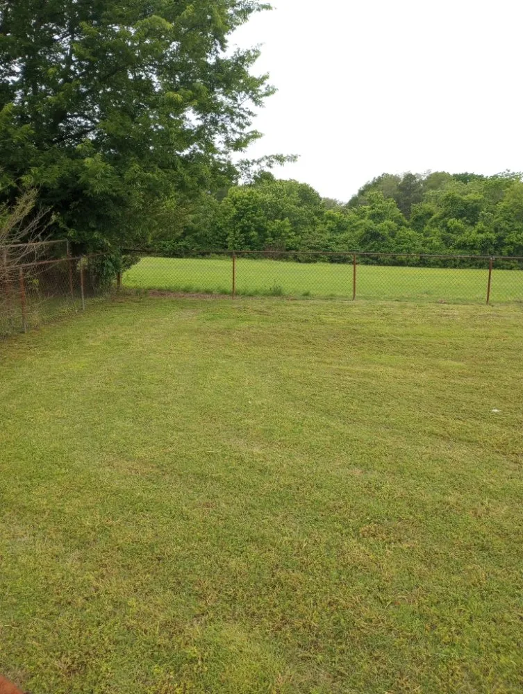 Custom yard maintenance in Memphis, TN - C&S Lawn Care Services